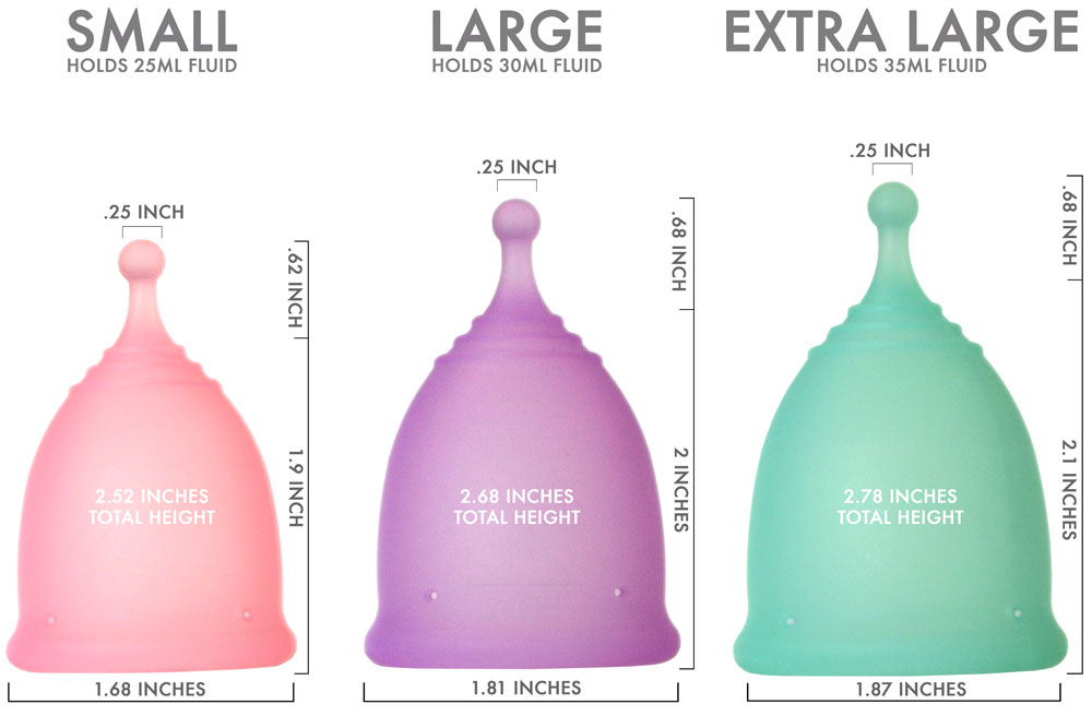 Cup Size Chart Nation